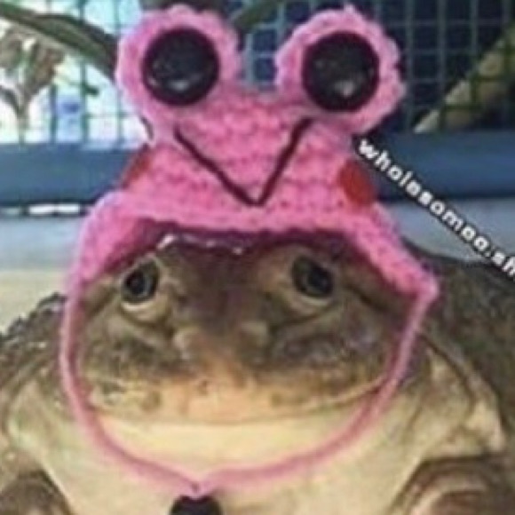 frogfacedani